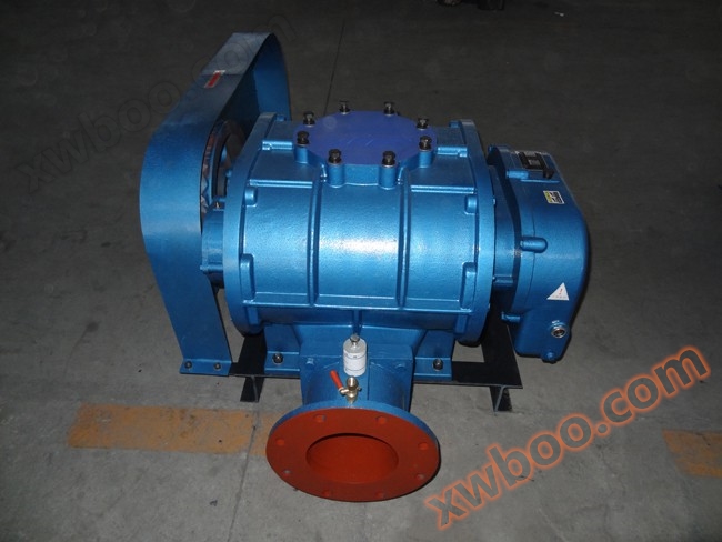 GRSR150 τριφυλλώδης φυσατήρας ρίζες